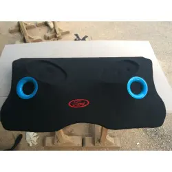 ford focus pandizot