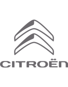 Citroen Pandizot Çeşitleri